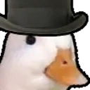 DuckHowdy emote for Discord