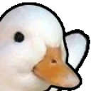 DuckWave emote for Discord
