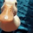 DuckAttack emote for Discord