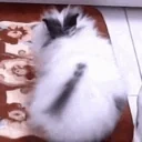 dupa emote for Discord