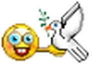 DudeWithLikeAFuckingPelican emote for Discord