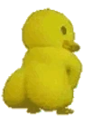 duckyShake emote for Discord