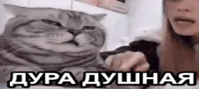 duraDushnaya emote for Discord