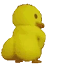 ducktwerk emote for Discord