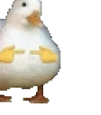 duckshy emote for Discord