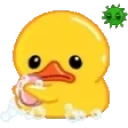duckBath emote for Discord