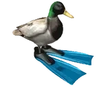 DuckWithDivingFins emote for Discord