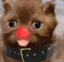 dumbassbitchidiot emote for Discord