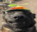 DumbAss emote for Discord