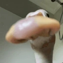 DuckStare emote for Discord