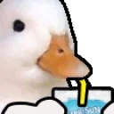 DuckSip emote for Discord