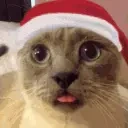 duh emote for Discord