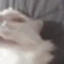 dumbass emote for Discord