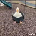 DuckSwing emote for Discord