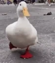 duckRUN emote for Discord