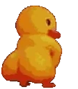 DuckTwerkLoco emote for Discord