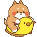 duckywee emote for Discord