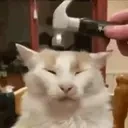 dumb emote for Discord