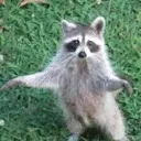 duro emote for Discord