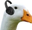 duckJam emote for Discord