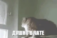 dushno emote for Discord