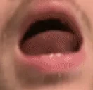 DuckCall emote for Discord