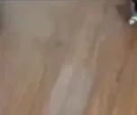 dumbcar emote for Discord