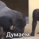 Dumaem emote for Discord