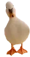 duckShake emote for Discord