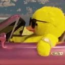 DuckDriveCool emote for Discord