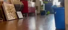 duckrun emote for Discord