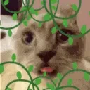 duhvine emote for Discord