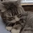 dude emote for Discord