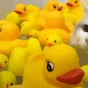 duckstroid emote for Discord