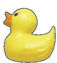 duckspin emote for Discord