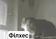 dushno emote for Discord