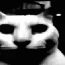 duh emote for Discord