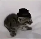 DumbassHat emote for Discord