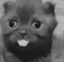 dumbassbitchidiothoussin emote for Discord