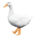 duckhyperspin emote for Discord