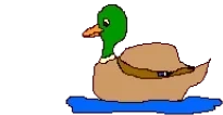 duckgif emote for Discord