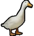 DuckD emote for Discord