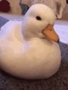 DuckMhm emote for Discord