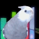 dumch emote for Discord