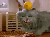 DUMAN emote for Discord