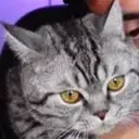 Duman emote for Discord