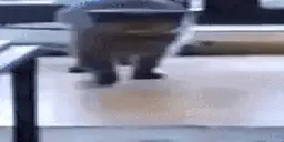 cyrkiel2 emote for Discord