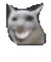 CYNTHIAELGATOJIJAS emote for Discord