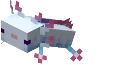 cyanAxolotl emote for Discord