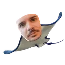 CymonManta emote for Discord